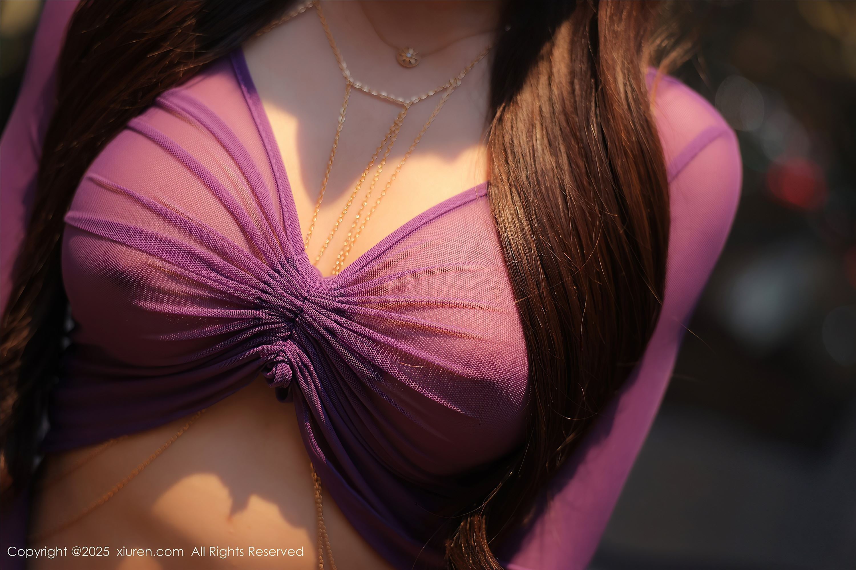 Xiuren秀人网 2025.02.13 NO.9876 媃柔rourou